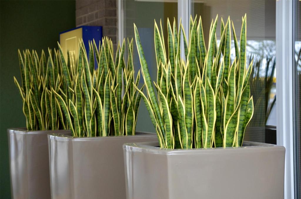 Median Hotel Hannover Messe - Resim 6