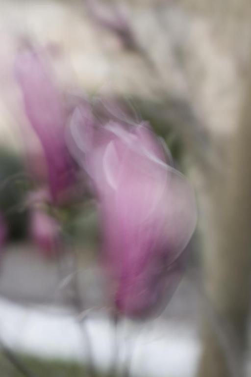 Fotografie z fotogalerie ubytování Apartments Tim v Portoroži
