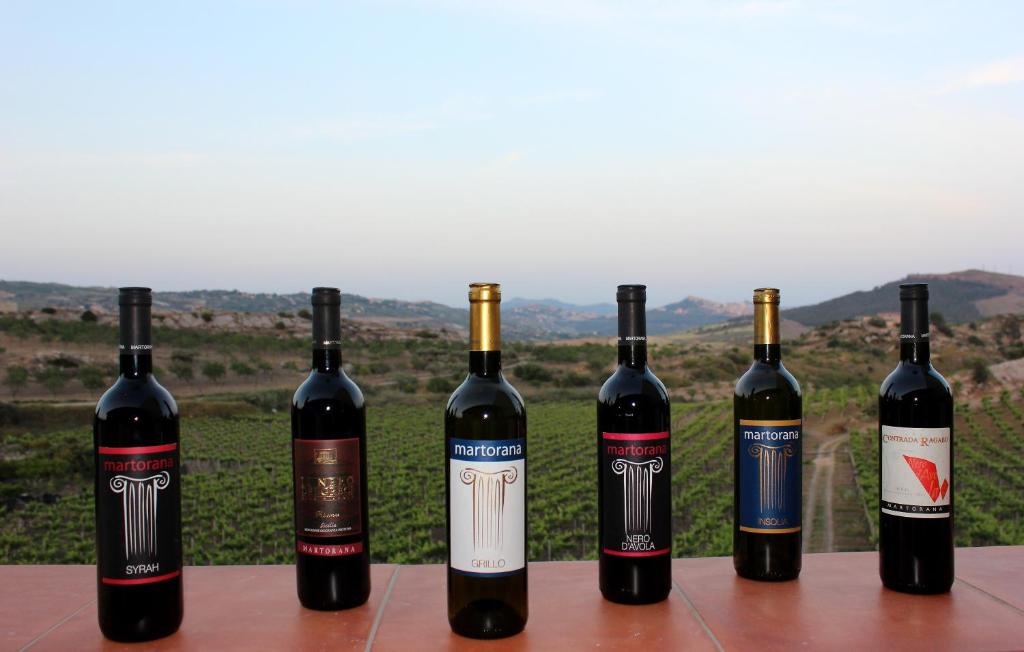 Agriturismo La Casa di Bacco - 3