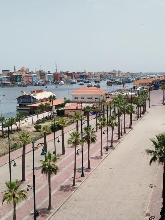 a street lined with palm trees next to a harbor at فندق الطيران in `Ezbet el-Dabdûba