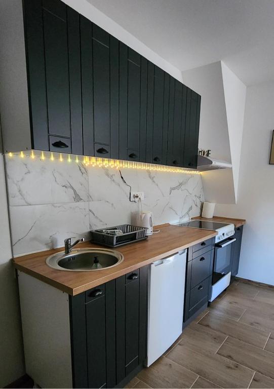 Apartman Tomić 주방 또는 간이 주방