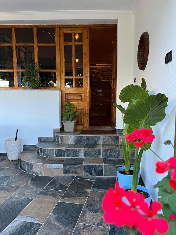 Exteriér nebo vchod ubytování Guest house Loloçi