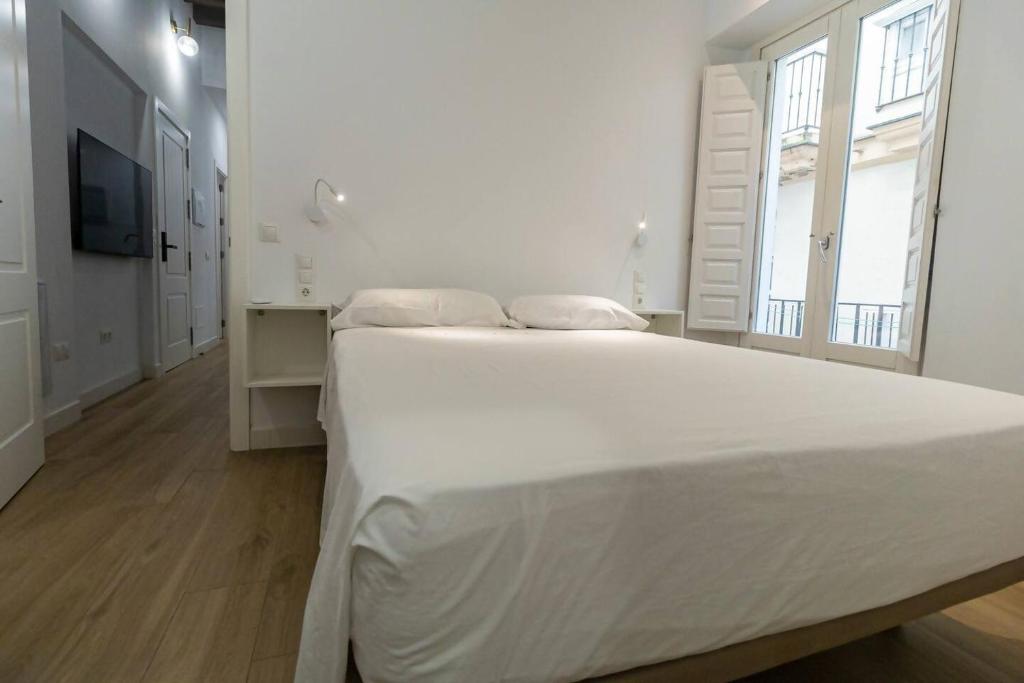 Postel nebo postele na pokoji v ubytování Apartamentos La Cruz Verde