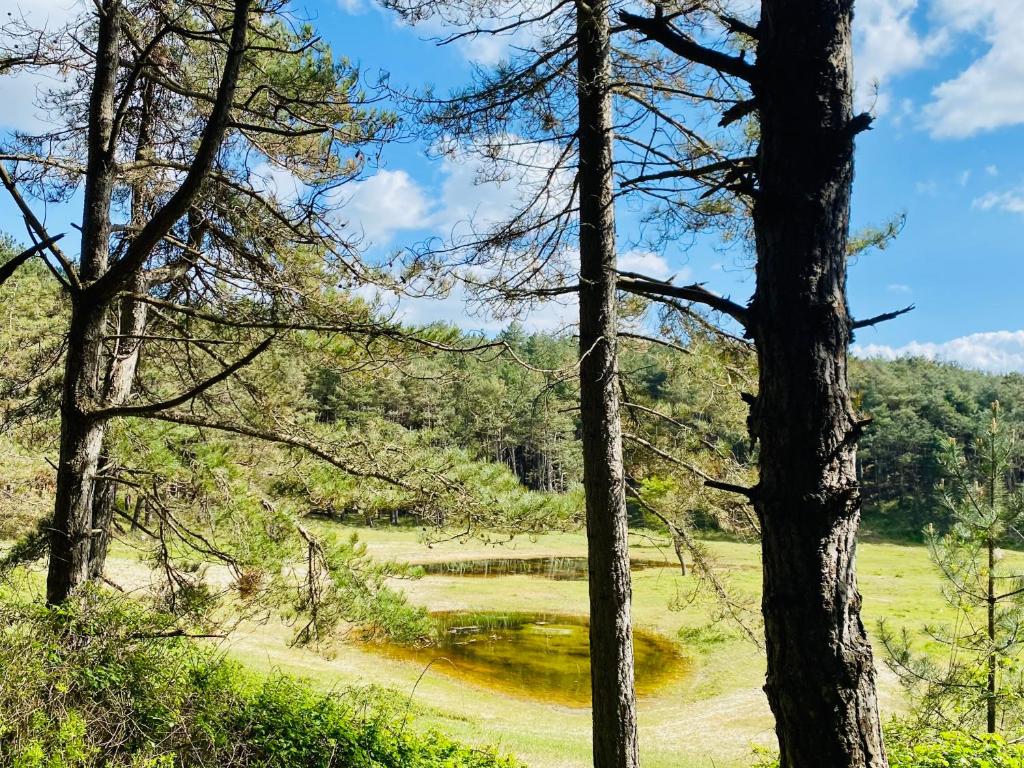 Paysage naturel près de l'appartement