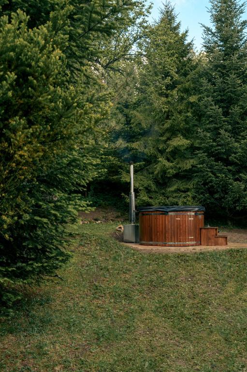 a park with two trash cans and trees at Artist's House in Falsztyn