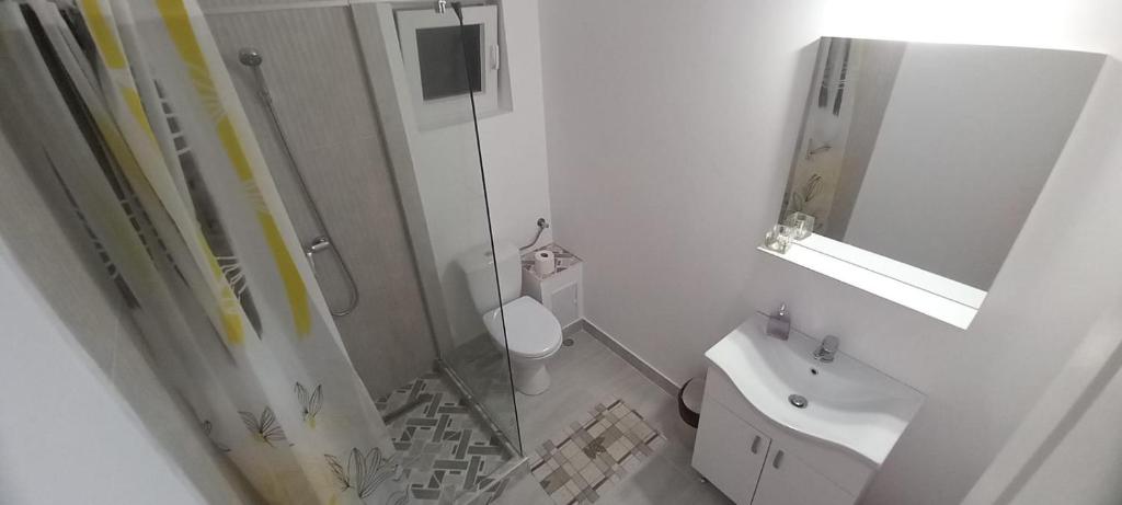 Koupelna v ubytování Casa AnaMaria