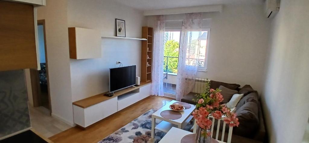 TV a/nebo společenská místnost v ubytování Miletić Lux