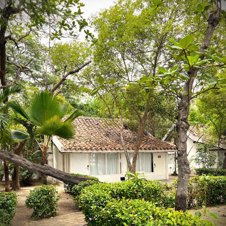 Zahrada ubytování Hotel Irotama Bungalows & Bohios