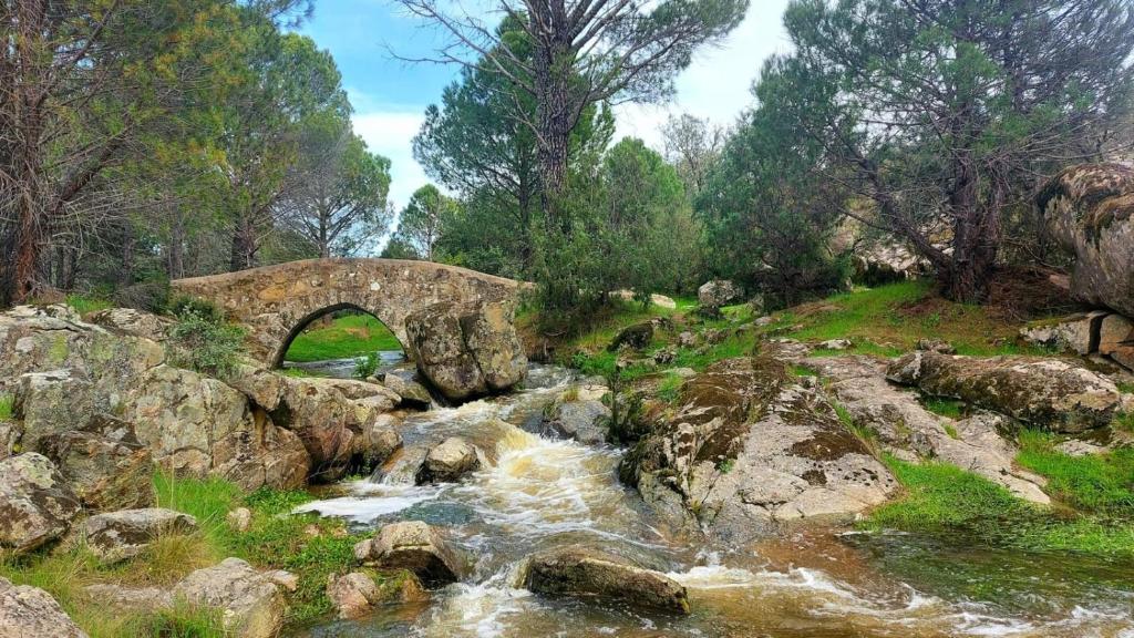 a stone bridge over a river with rocks at Casa Ypsilon Olive Oil in Sotillo de la Adrada