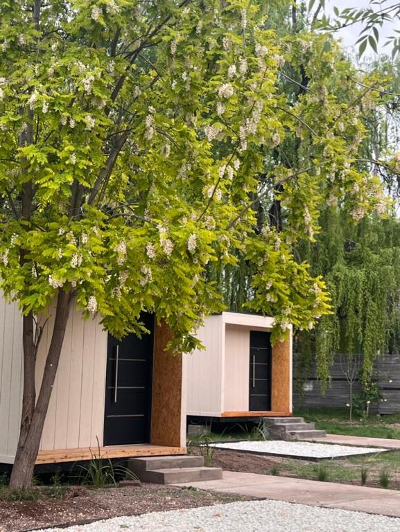 a building with a tree in front of it at La Misión Tiny Houses in Ciudad Lujan de Cuyo