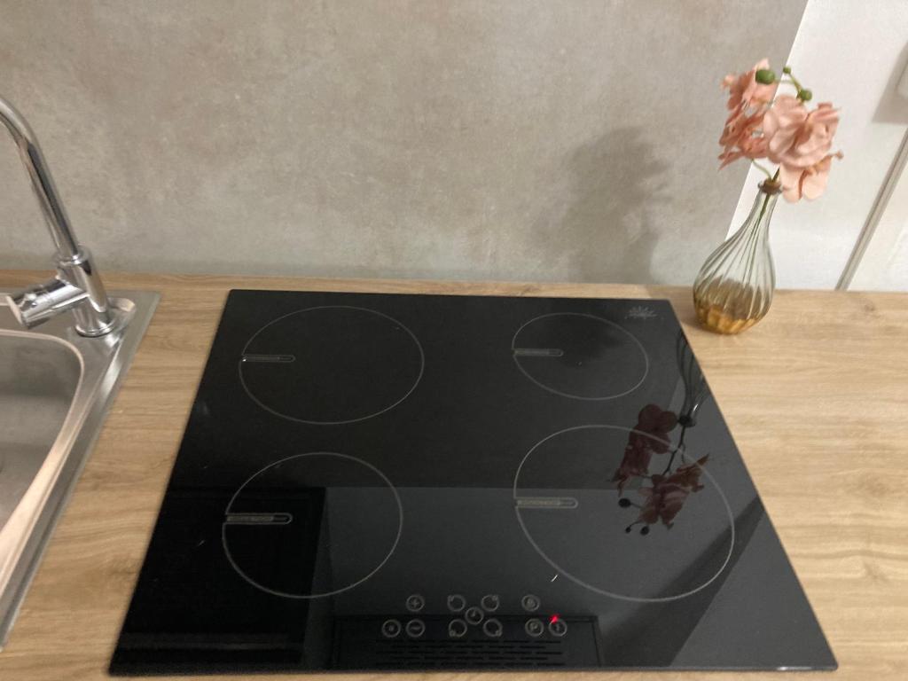 un forno da cucina appoggiato su un bancone con un vaso di fiori di F&F Room a Sassari