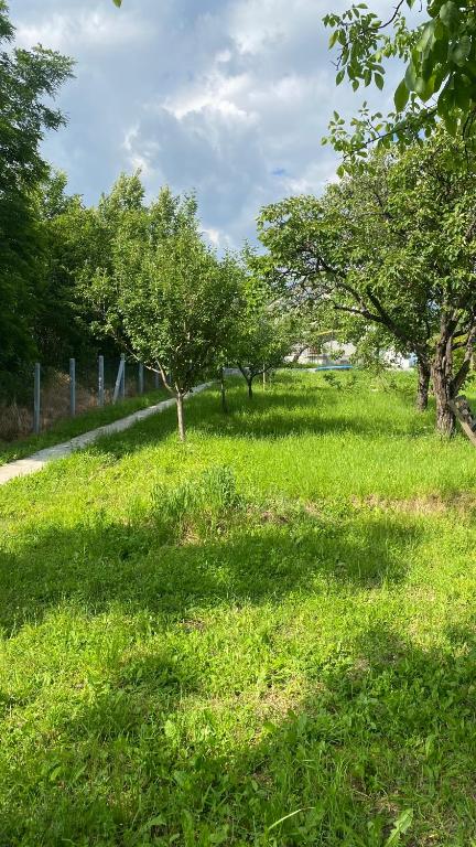 Zahrada ubytování Conceptt casa