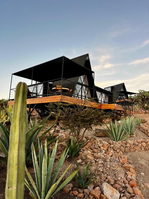 Fotografie z fotogalerie ubytování Hotel Coyote v destinaci San Miguel de Allende