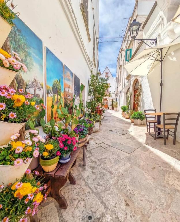 un magasin de fleurs avec des fleurs en pots dans une rue dans l'établissement Trullo Ritunno, à Locorotondo