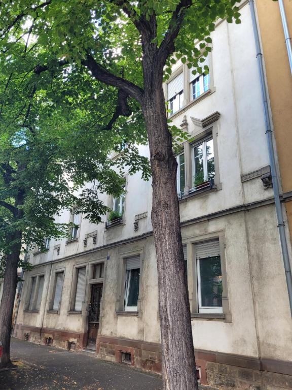 Chez Diane , appartement complet , parking gratuit devant l'immeuble – photo 9
