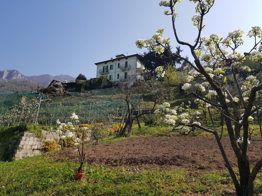 Il Palazzo apartment with a view of the lake and nature - One-Bedroom Apartment