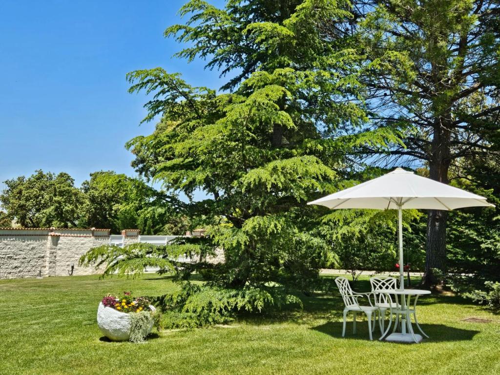 Vonkajšia záhrada v ubytovaní Villa Prana