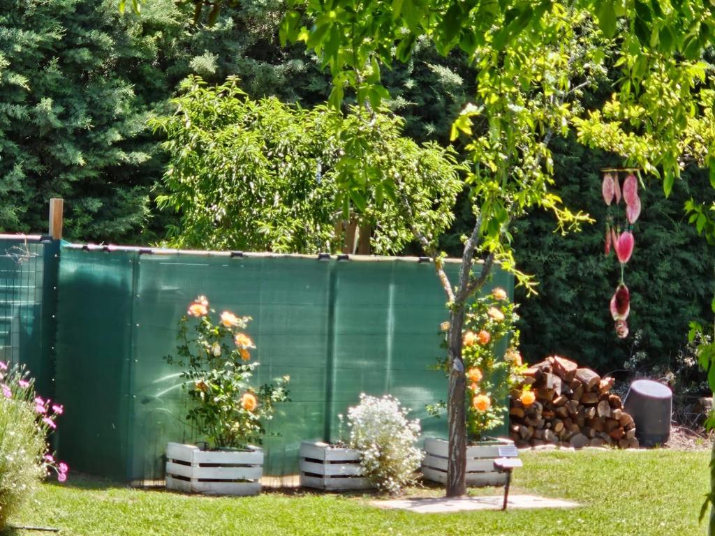 Vonkajšia záhrada v ubytovaní Villa Prana