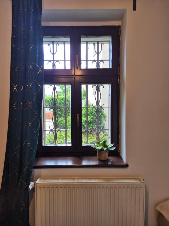 Fotografie z fotogalerie ubytování Hostel Dobranocka v destinaci Toruň