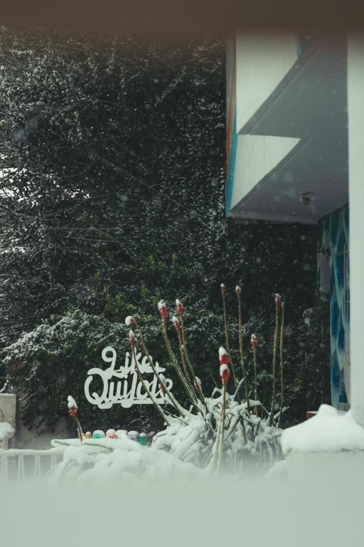 a cake with snow on it in front of a building at Hostel Like Quijote in San Carlos de Bariloche