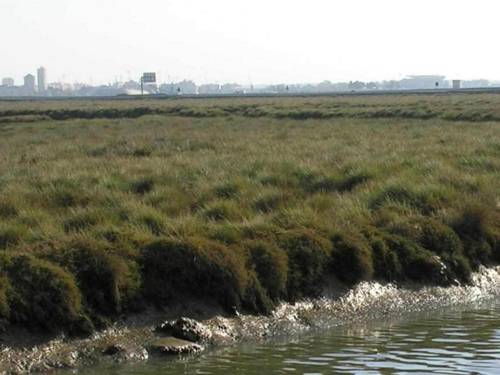Fotografia z galérie ubytovania Belvilla by OYO Sant Marti v destinácii L'Escala