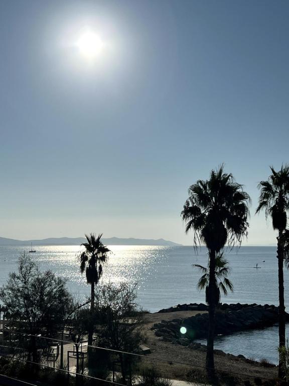 un groupe de palmiers sur une plage avec l'océan dans l'établissement Chez Jo Duplex Terrasse vue mer Hyères, à Hyères