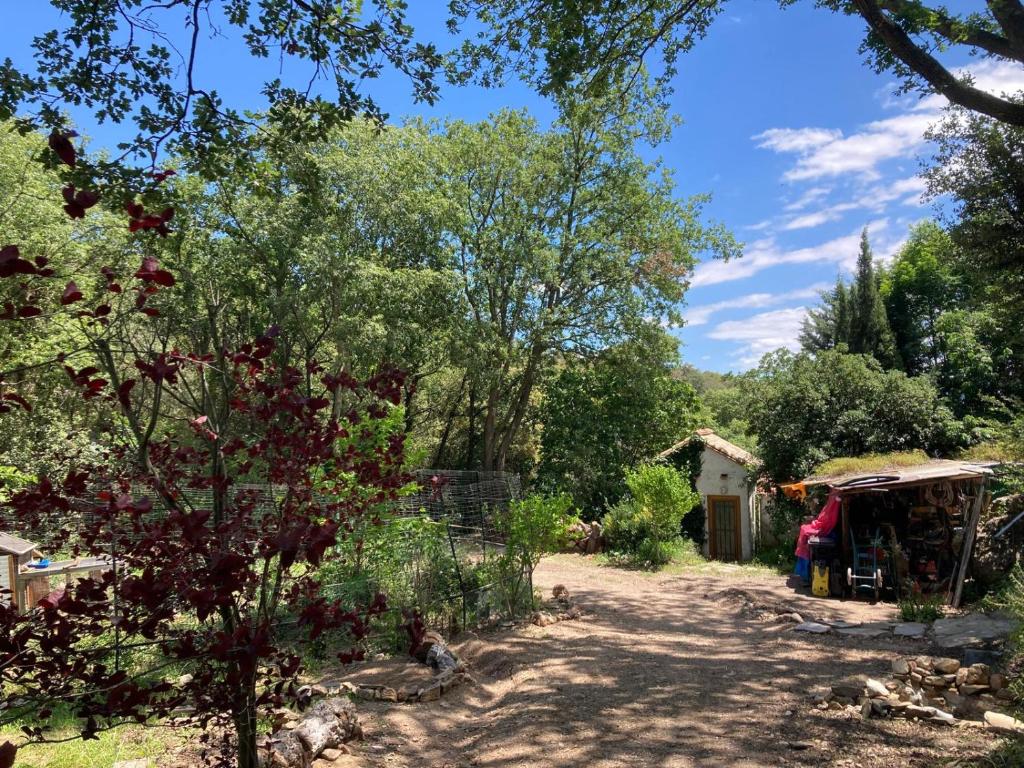 ein Garten mit einem Baum und einem Schuppen in der Unterkunft Nuit entre mer et montagne in Caixas