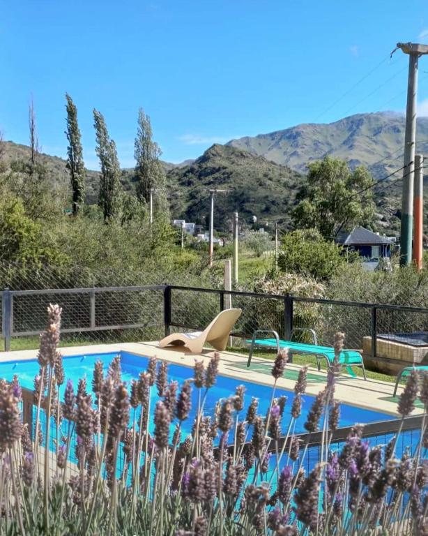 a pool with purple flowers in front of it at Cabañas del Fuego in Potrero de los Funes