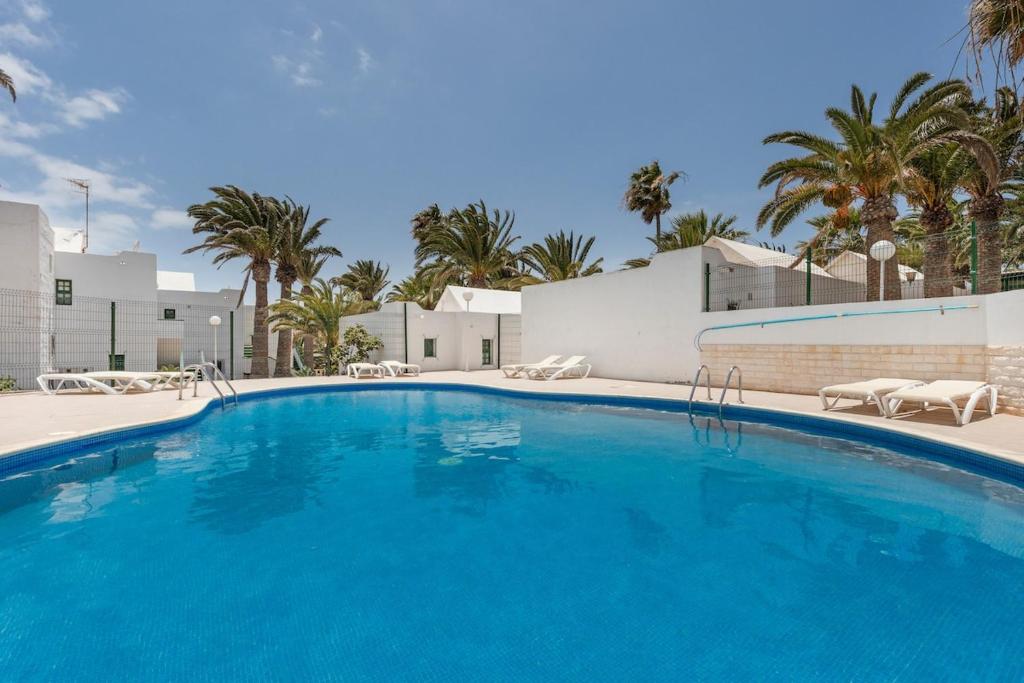 une grande piscine avec chaises et palmiers dans l'établissement Santa Úrsula 21, à Costa Calma