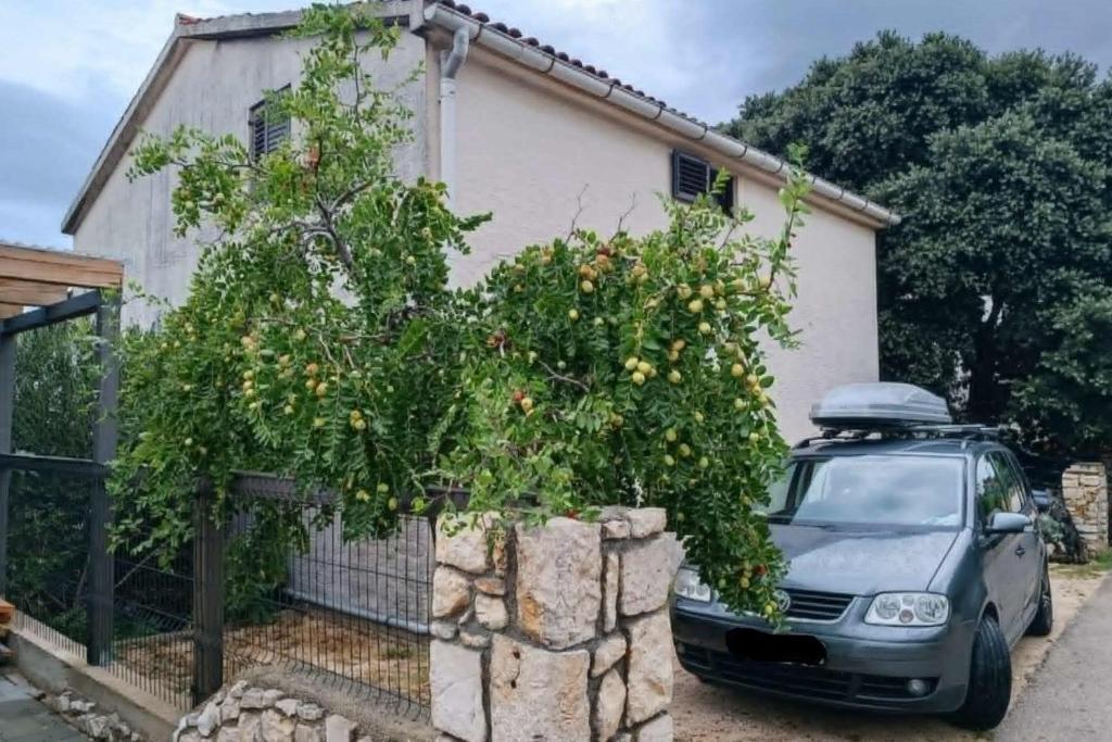 Apartments with parking space Mandre, Pag - 24574