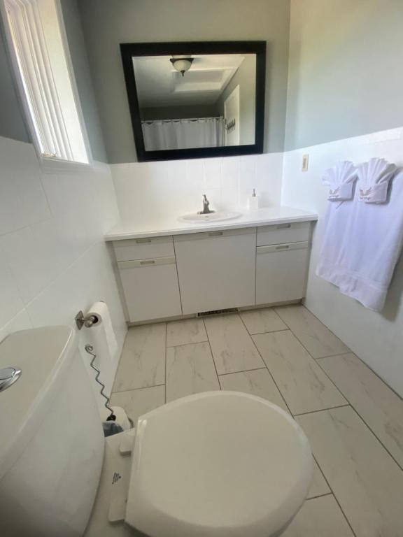 a bathroom with a toilet and a sink and a mirror at Butterfly Manor in Niagara Falls