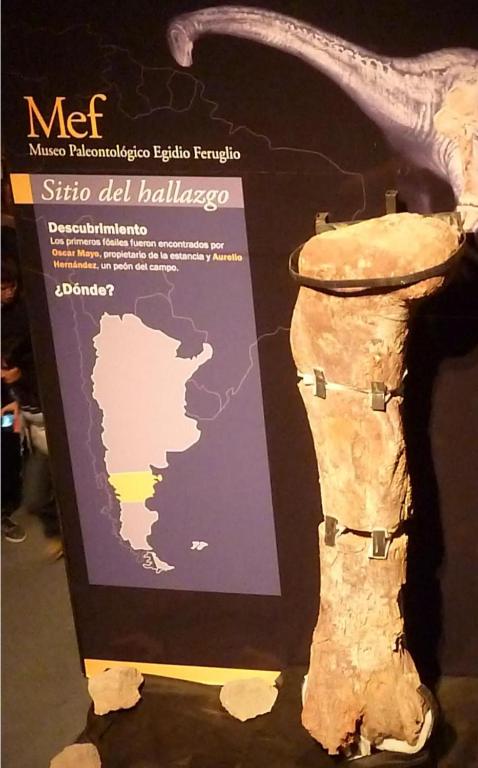 Fotografie z fotogalerie ubytování Departamentos Ensueños v destinaci Trelew