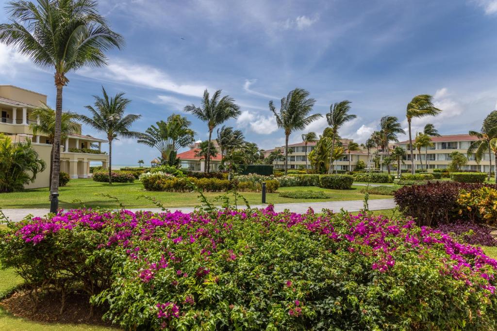 Zahrada ubytování Moon Palace Nizuc - All Inclusive