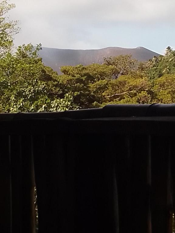 Home stay tree house