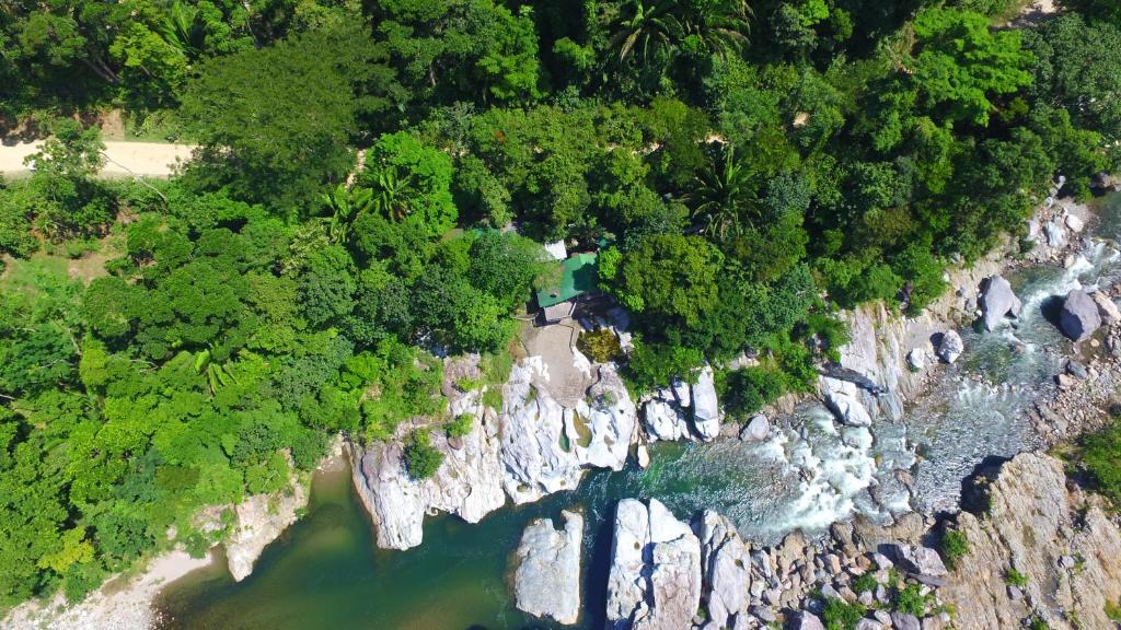 Bird's-eye view ng Jungle River Lodge