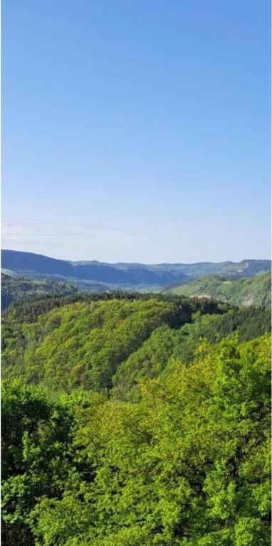 une vue d'une forêt remplie de nombreux arbres verts dans l'établissement Mobil-home vacances Lozère, à Banassac