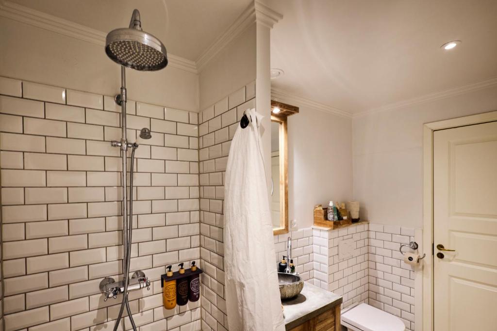 Axel Guldsmeden - Resim 40