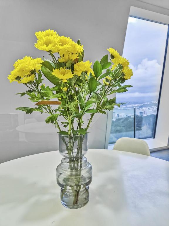 Luxury Wellington Accomodation - Resim 23