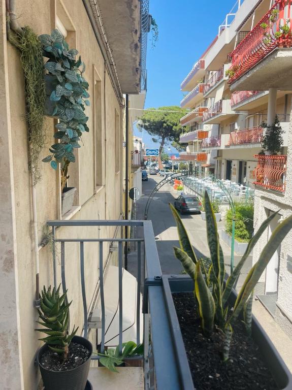 a balcony with potted plants on the side of a building at SoverHouse affittacamere a Soverato Marina in Soverato Marina