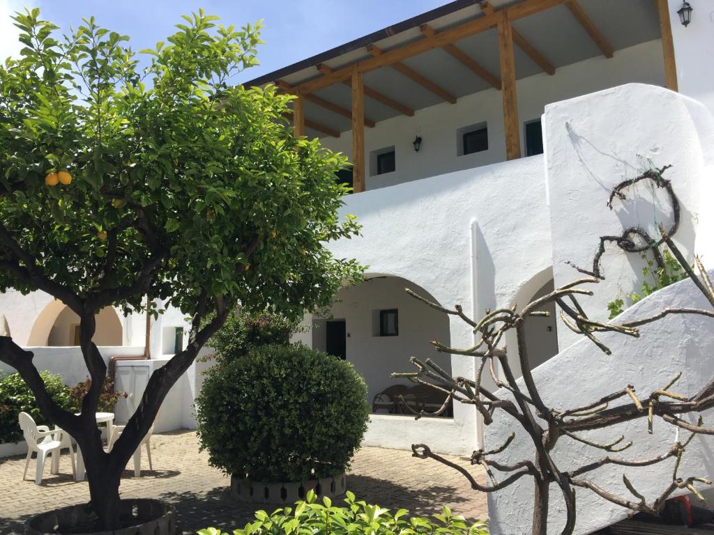 Villa Petrusa في سترومبولي: شجرة برتقال أمام المبنى