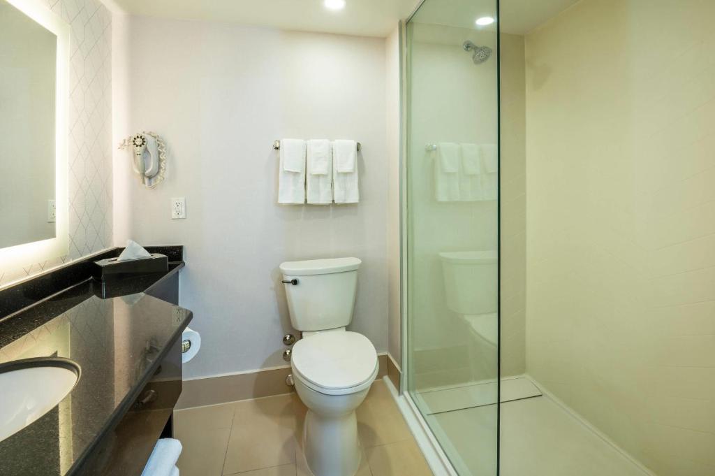 Comfort Inn & Conference Centre Toronto Airport - Resim 16