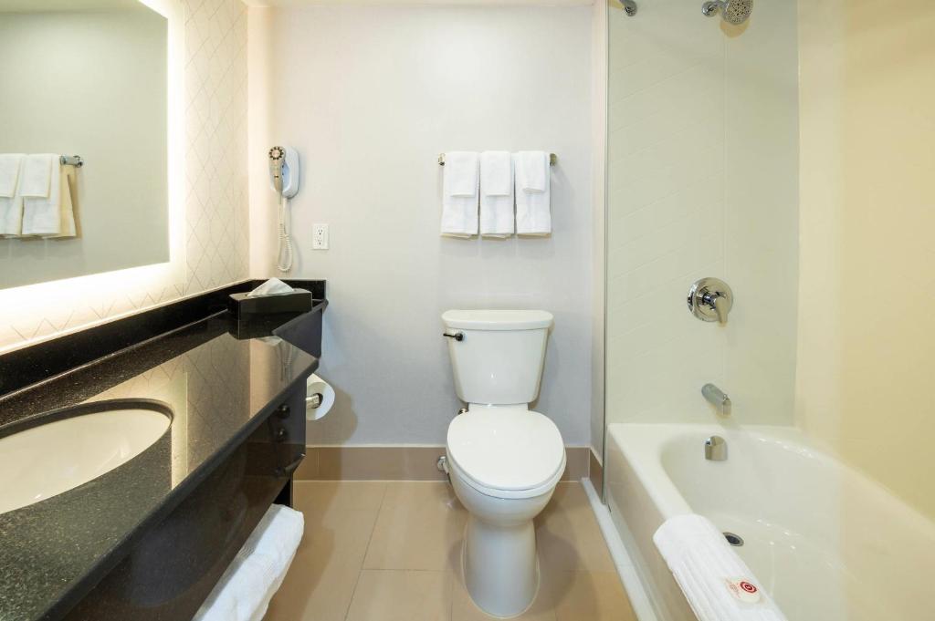 Comfort Inn & Conference Centre Toronto Airport - Resim 19