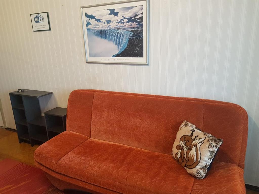 ダウガフピルスにあるApartament Erfolg 1の滝の絵が飾られた部屋にある茶色のソファ