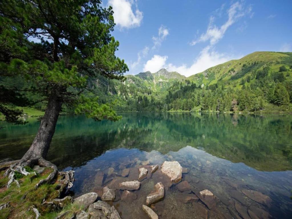 Příroda nedaleko apartmánu