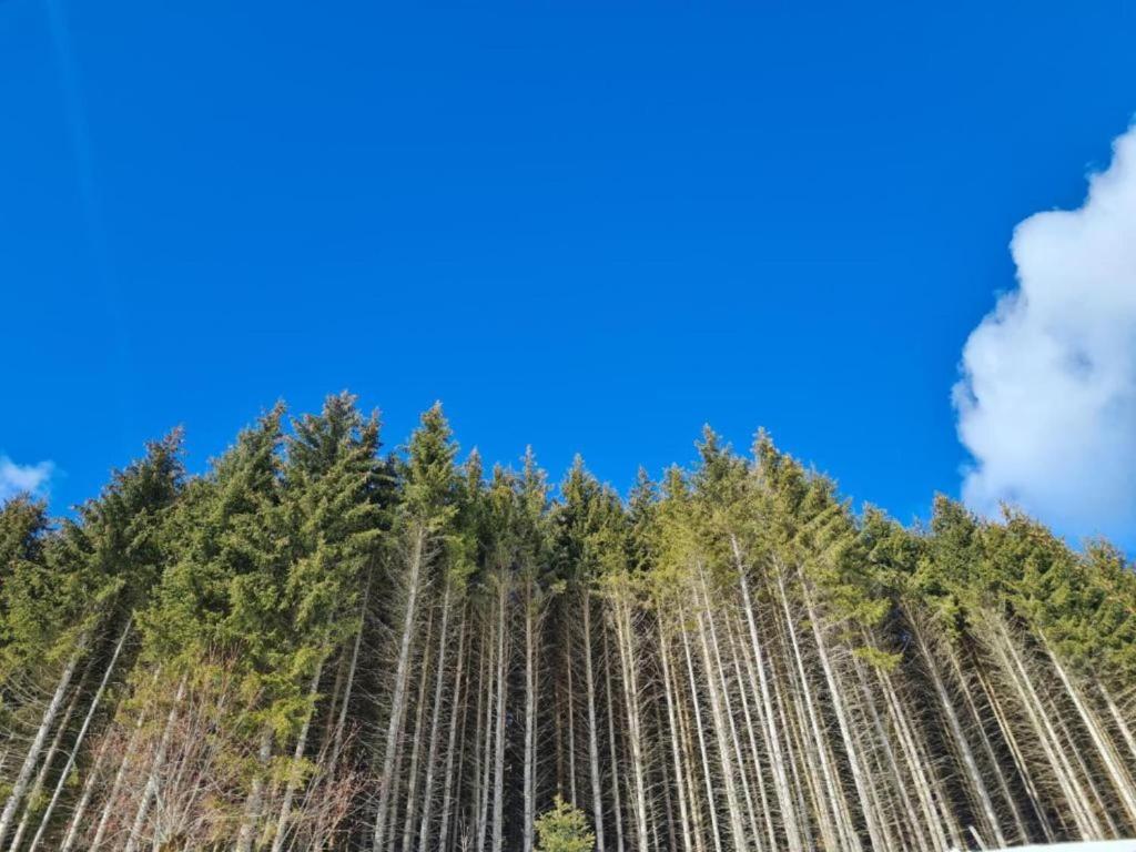 Příroda nedaleko apartmánu