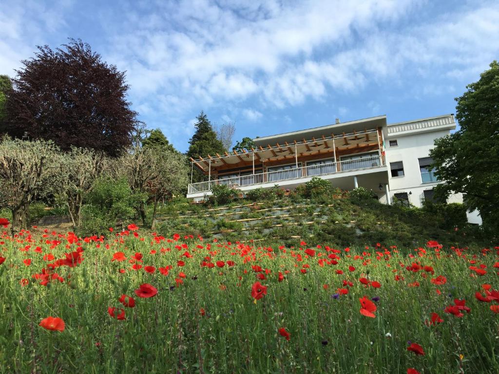 un campo di papaveri rossi di fronte a un edificio di Admiramini B&B a Robbiate