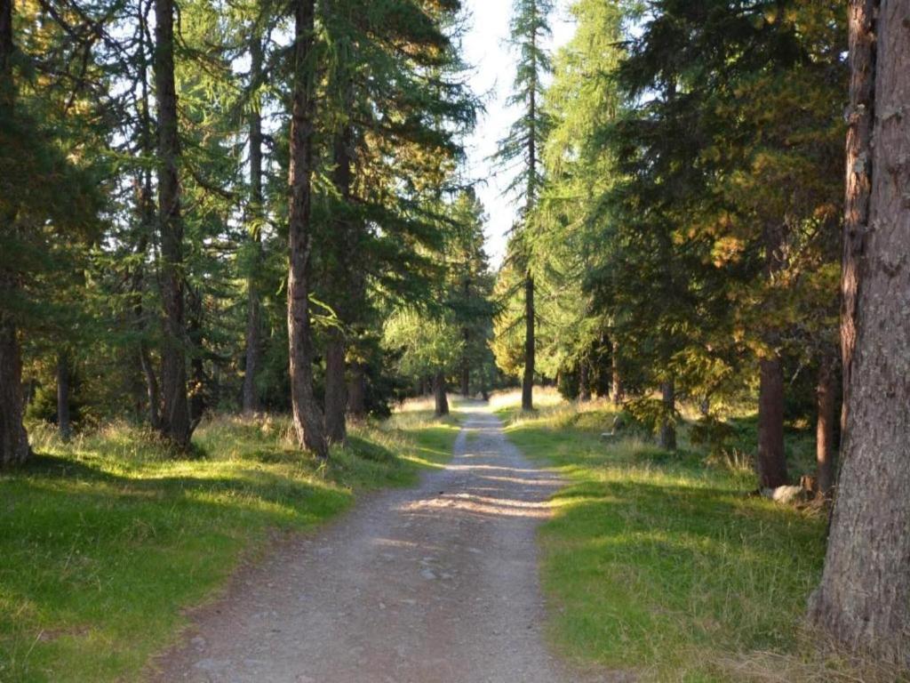 Príroda v okolí apartmánu