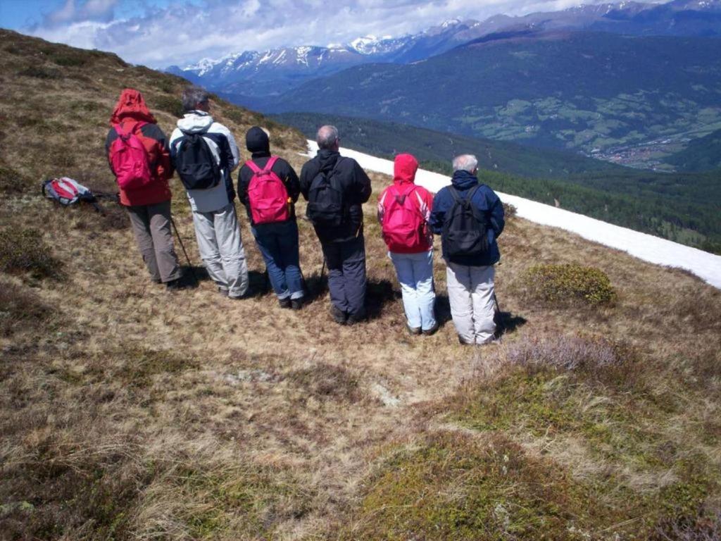 Príroda v okolí horskej chaty