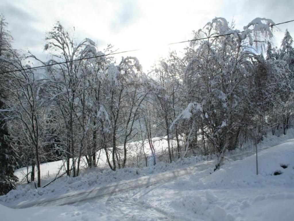 Chalet in Einach near Ski Slopes v zimě