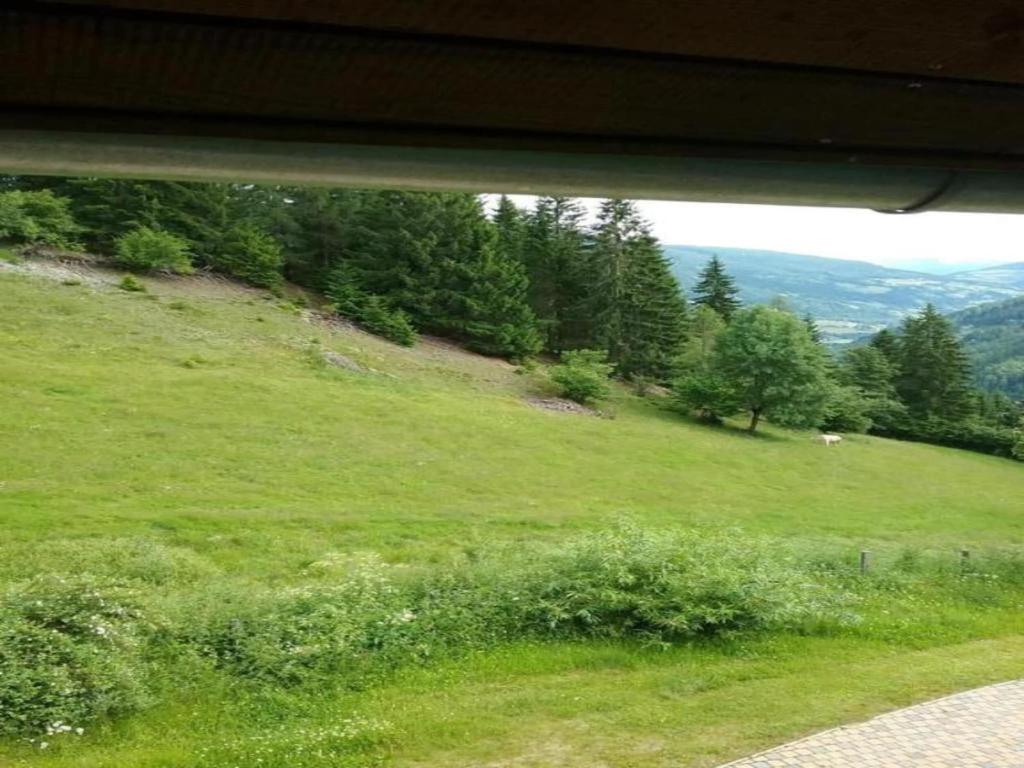 Príroda v okolí horskej chaty